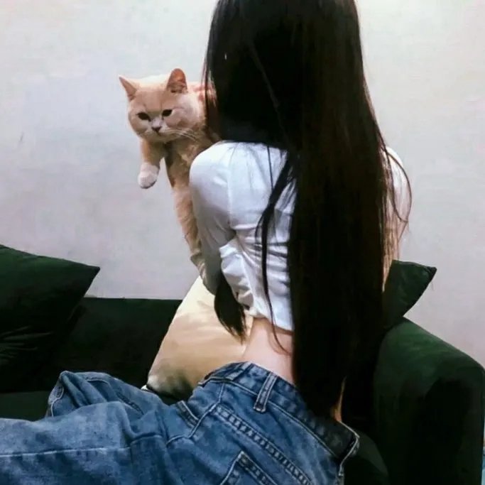 疯狂的狐狸