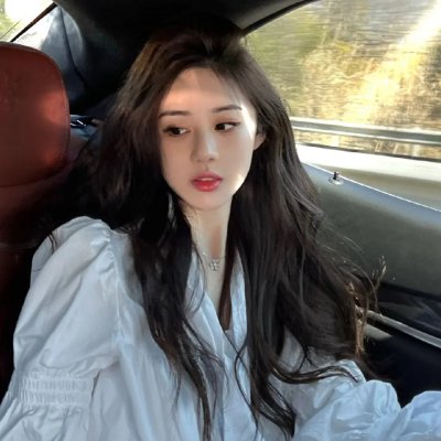 少数意见